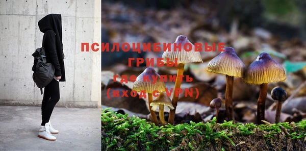 каннабис Няндома