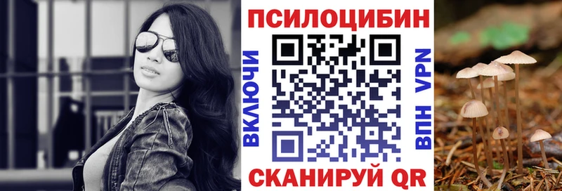 наркотики  Советск  МЕГА как зайти  Галлюциногенные грибы MAGIC MUSHROOMS 