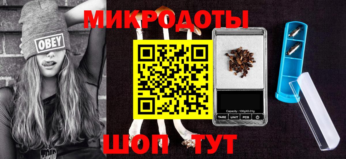 Галлюциногенные грибы Psilocybe Советск